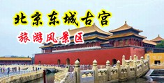 大几巴草逼视频中国北京-东城古宫旅游风景区